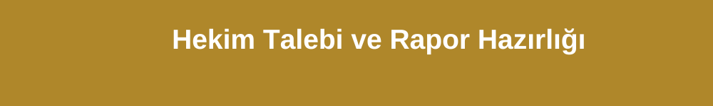 Hekim Talebi ve Rapor Hazırlığı