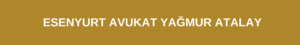 ESENYURT AVUKAT