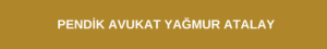 pendik avukat