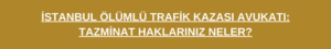 trafik kazası
